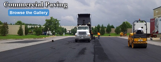 Commercial Asphalt Paving Project